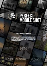 35AWARDS: PERFECT MOBILE SHOT