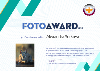 PHOTOAWARD: 3rd place