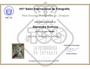 101 Salón Internacional de Fotografía de Zaragoza: DIPLOMA CHAIRMAN
