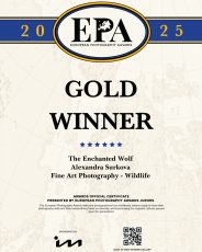 European Photography Photography Awards