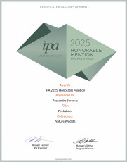 IPA 2025: HONORABLE MENTION