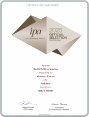 IPA 2025: OFICIAL SELECTION